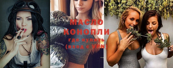 крисы Абаза