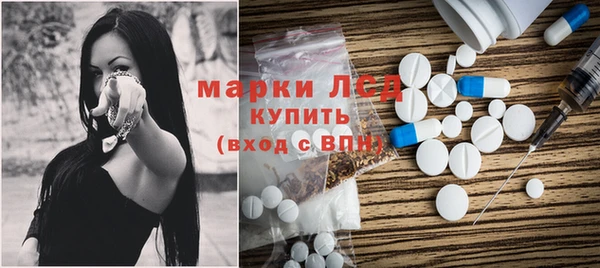 крисы Абаза