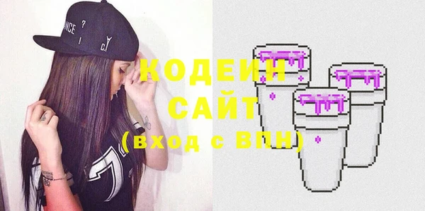 крисы Абаза