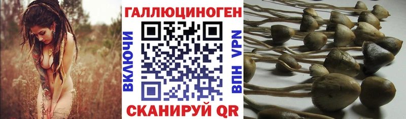 Псилоцибиновые грибы ЛСД  наркошоп  Алдан 