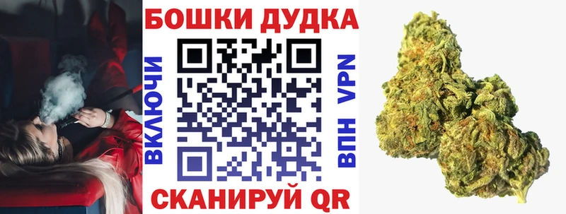 Канабис планчик  хочу наркоту  Алдан 
